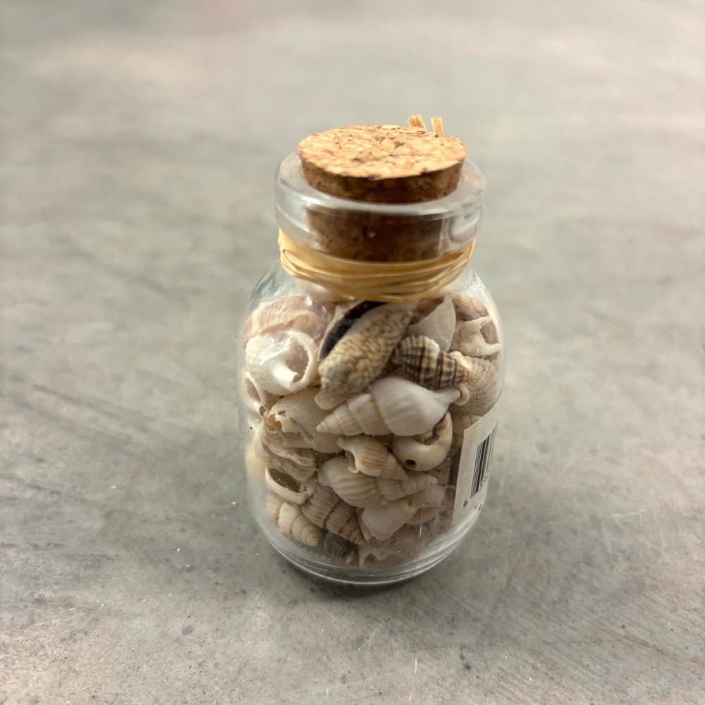 Greenbrier International Mini Sea Shells in Glass Jar with Cork Stopper 3 Inch